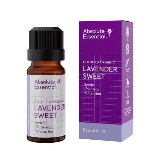 Buy Absolute Essential Lavender