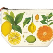 Cavallini & Co. Vintage Citrus Pouch